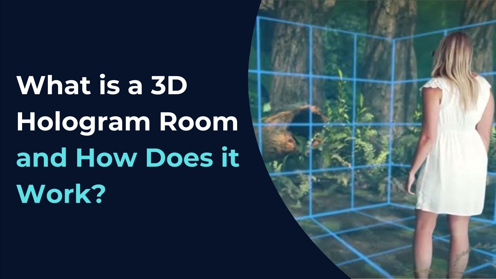 3D Hologram Room